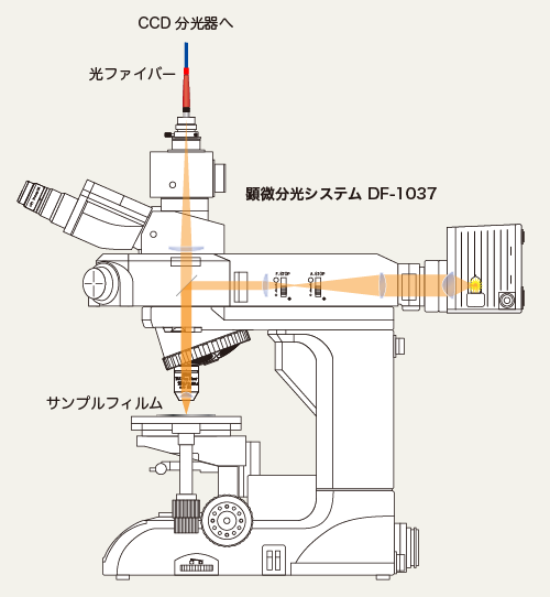 顕微分光システム DF-1037：反射測定光学系