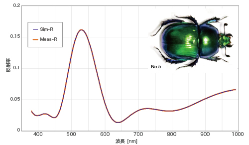 図4-19　オオセンチコガネ体表の反射率スペクトルフィッティング例-2
