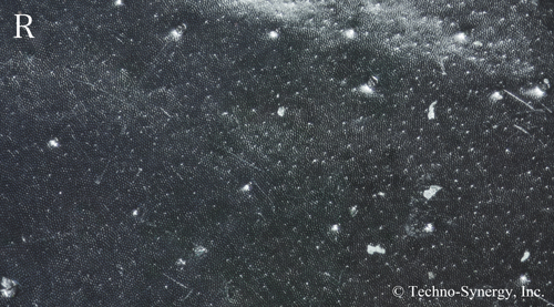図8-12　右円偏光で見たアオオビカタハリカナブン体表の顕微鏡拡大